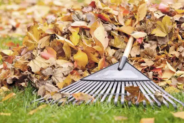 Fall Cleanup Service in Spokane