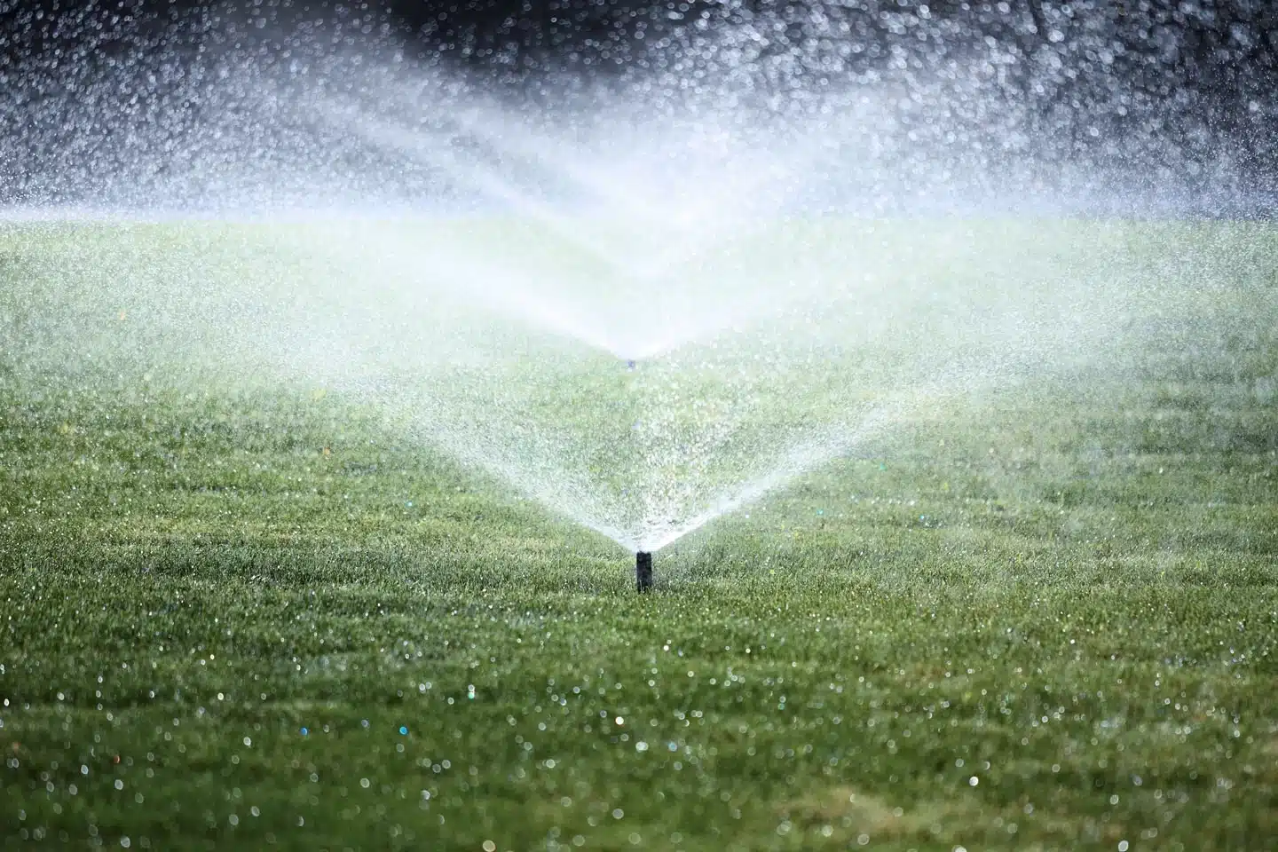 Sprinkler Blowout Services