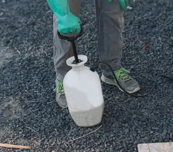 We use top grade pesticides