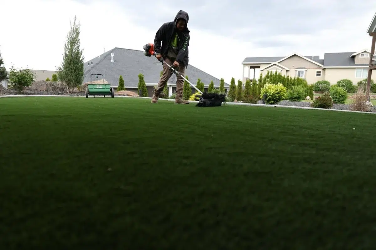 Greenscape Landscaping professional power raking and dethatching a lawn to promote healthy grass growth