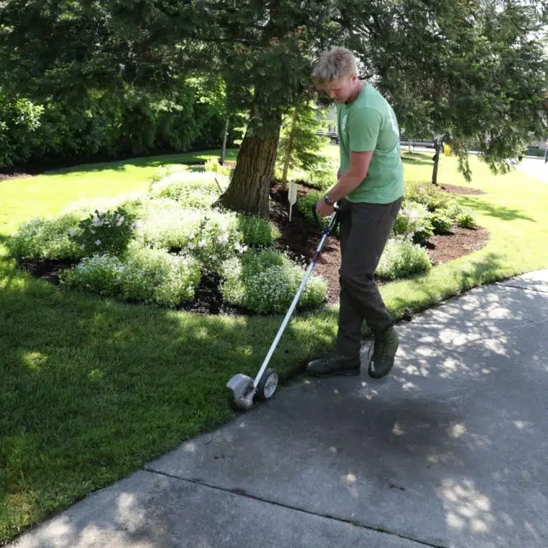 mowing service includes edging of driveways and sidewalks