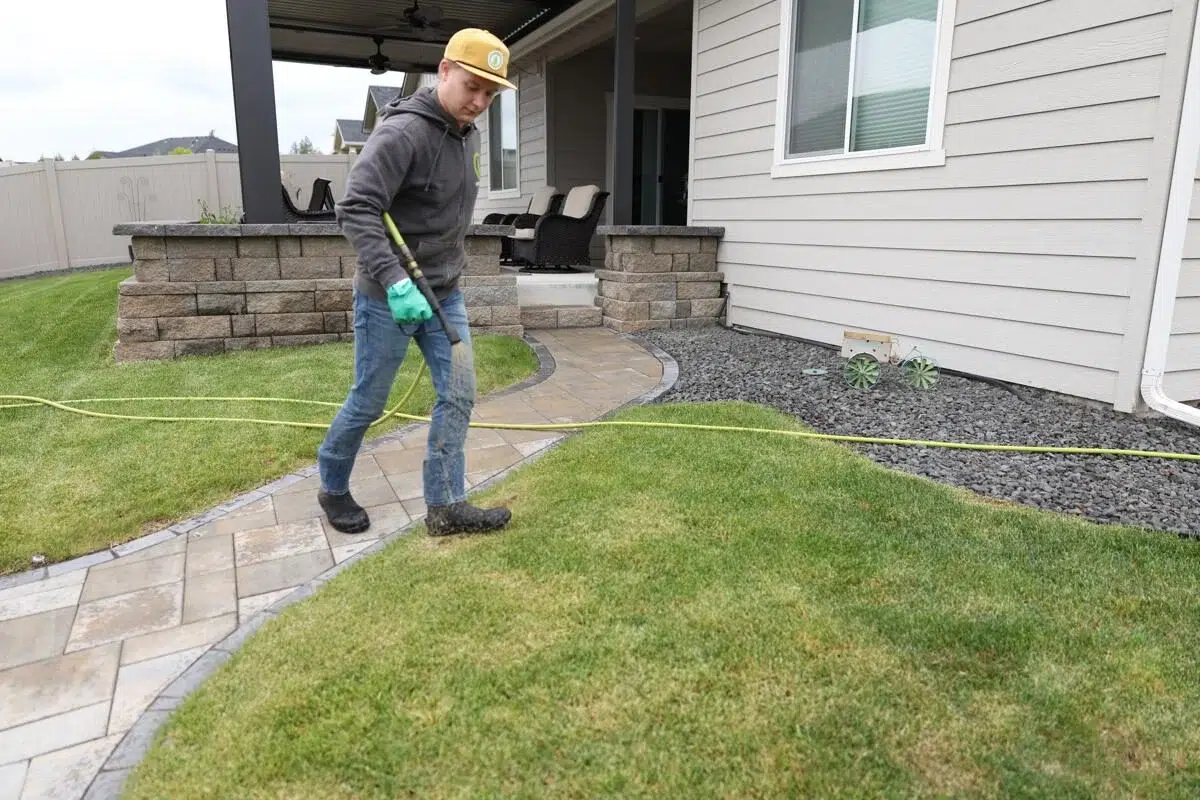 Greenscape Landscaping technician applying granular lawn disease prevention treatment along a walkway